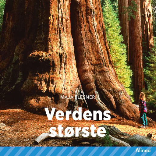 Verdens største