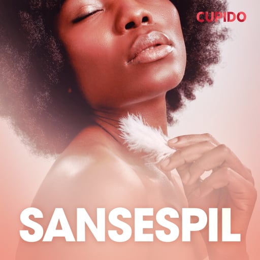 Sansespil – erotisk novelle