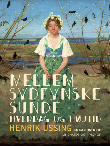 Mellem sydfynske sunde. Hverdag og højtid