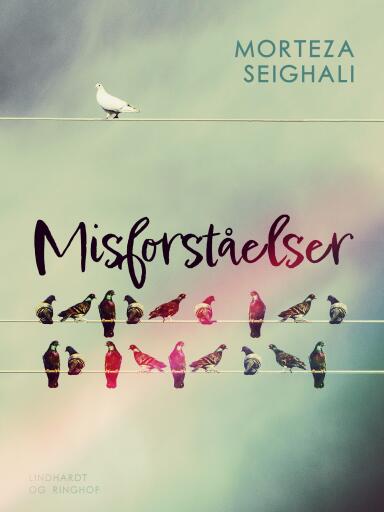 Misforståelser