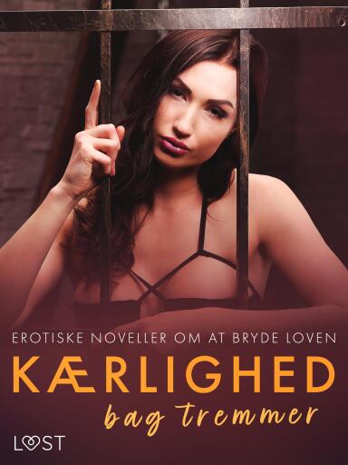 Kærlighed bag tremmer – erotiske noveller om at bryde loven