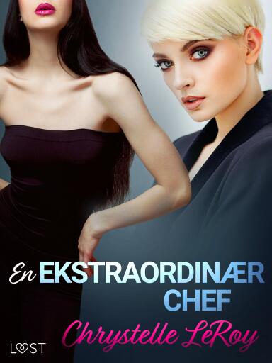 En ekstraordinær chef – erotisk novelle