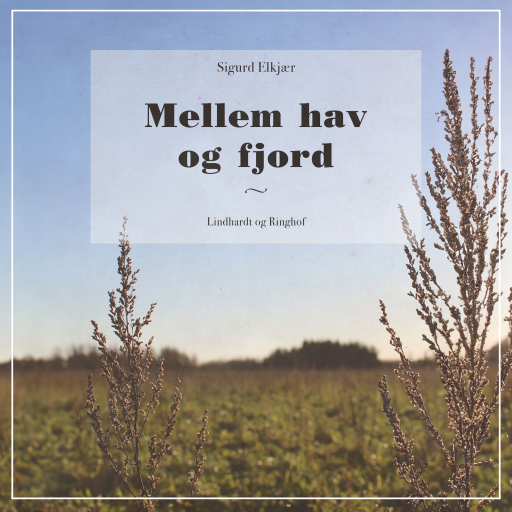Mellem hav og fjord