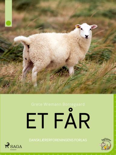 Et får