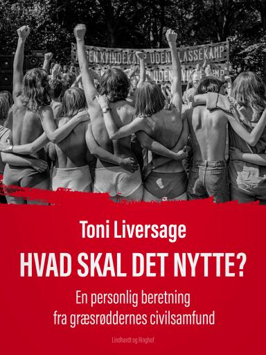 Hvad skal det nytte? En personlig beretning fra græsrøddernes civilsamfund