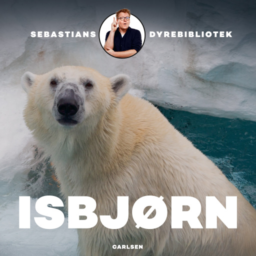 Sebastians dyrebibliotek – Isbjørn