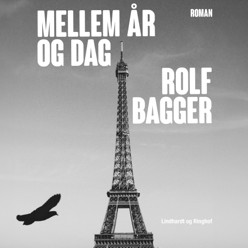 Mellem år og dag