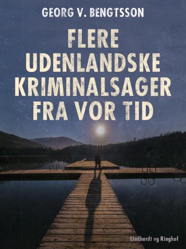 Flere udenlandske kriminalsager fra vor tid