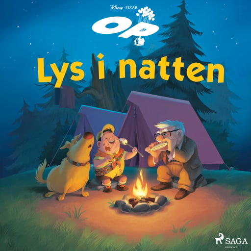 Op – Lys i natten
