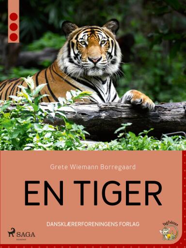 En tiger
