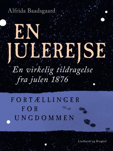 En julerejse. En virkelig tildragelse fra julen 1876. Fortællinger for ungdommen