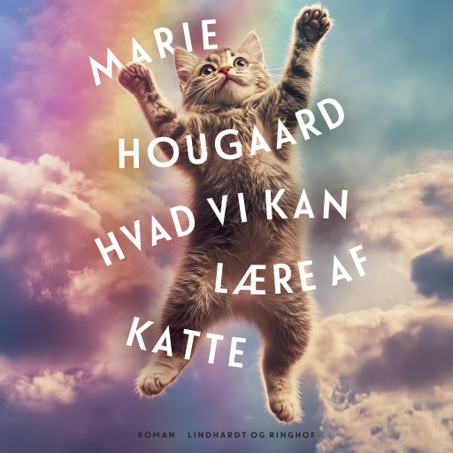 Hvad vi kan lære af katte