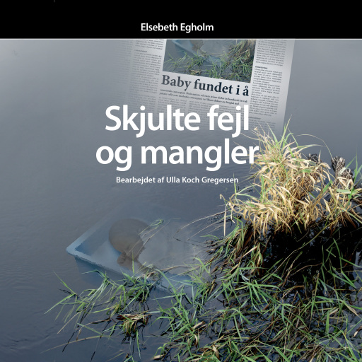 Skjulte fejl og mangler – Læsebearbejdet