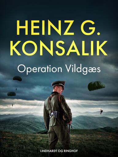 Operation Vildgæs