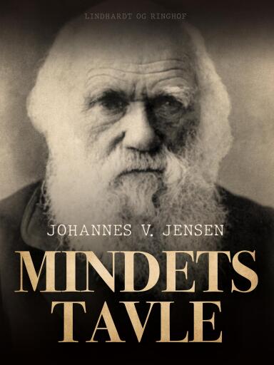 Mindets tavle