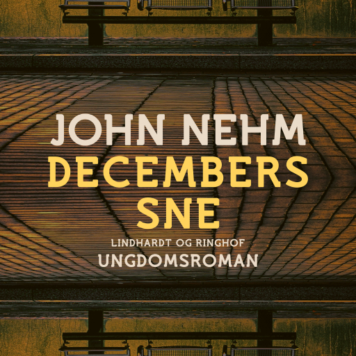 Decembers sne