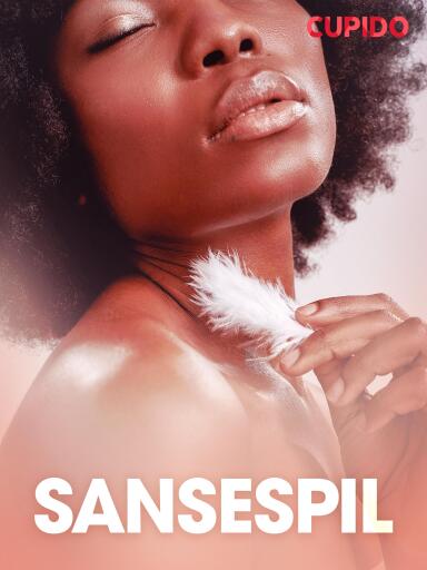 Portada del libro «Sansespil – erotisk novelle», de Cupido