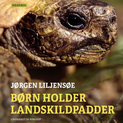 Børn holder landskildpadder