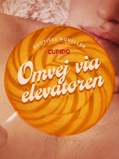 Omvej via elevatoren – erotiske noveller