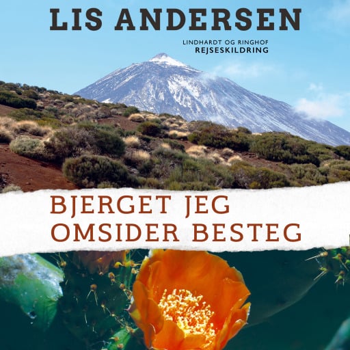 Bjerget jeg omsider besteg