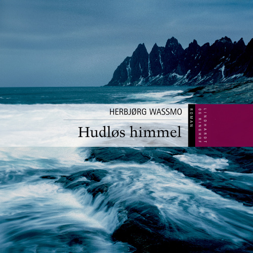 Hudløs himmel