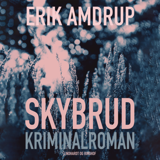 Skybrud