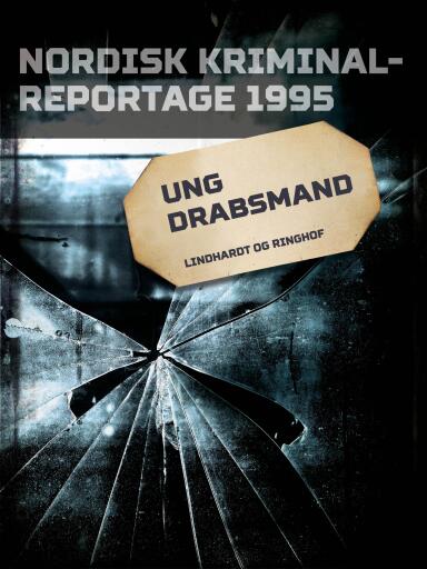 Ung drabsmand