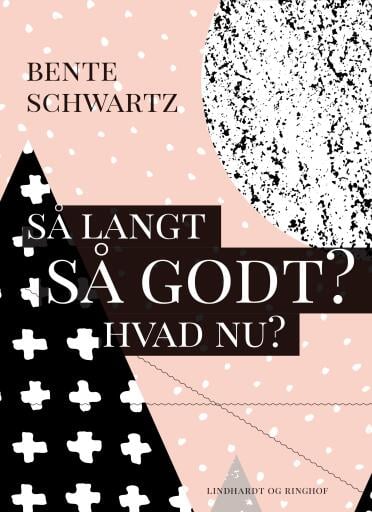 Så langt – Så godt? Hvad nu?