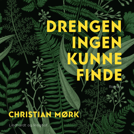 Drengen ingen kunne finde