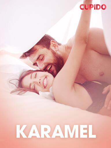 Portada del libro «Karamel – erotiske noveller»
