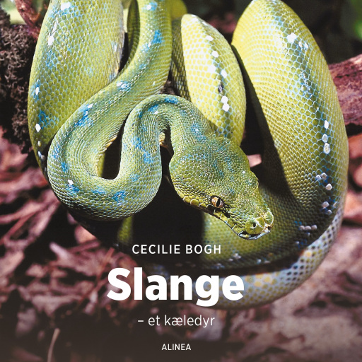 Slange – et kæledyr