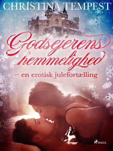 Godsejerens hemmelighed – en erotisk julefortælling
