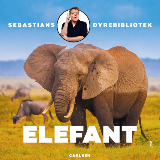 Sebastians dyrebibliotek – Elefant