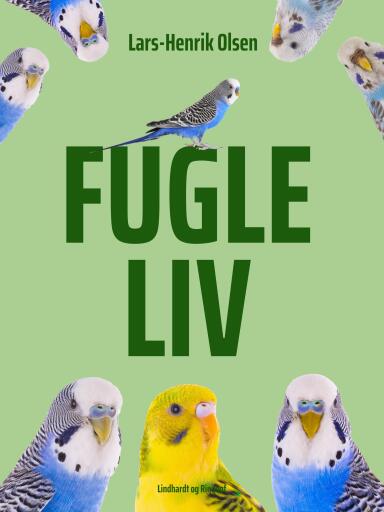 Fugleliv