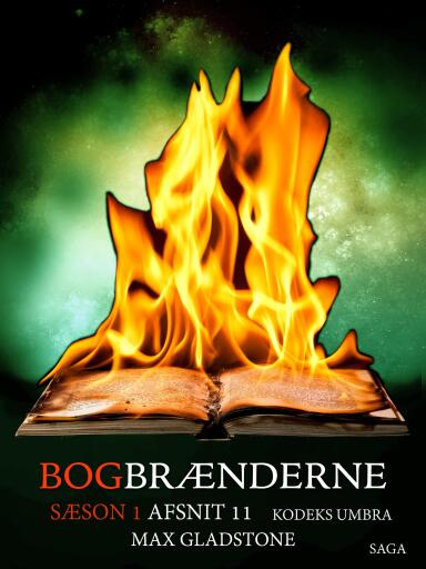 Bogbrænderne: Kodeks Umbra 11