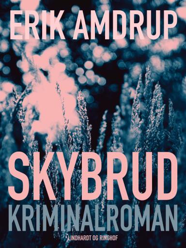 Skybrud