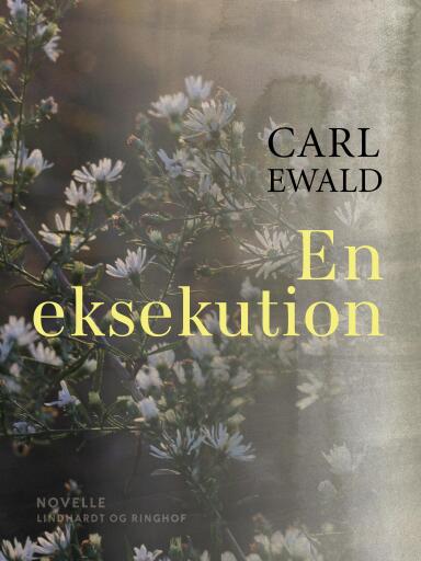 En eksekution