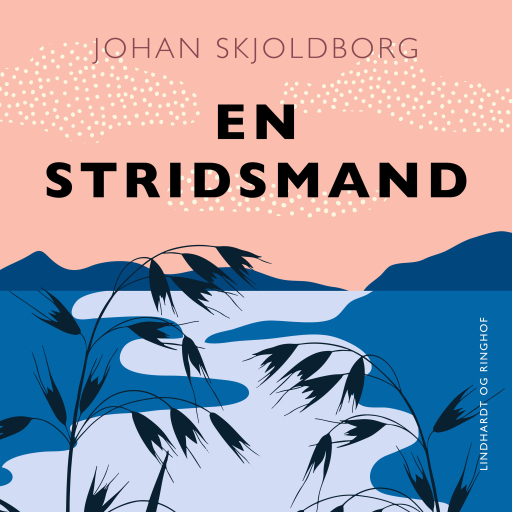En stridsmand