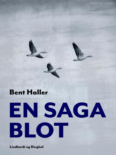 En saga blot