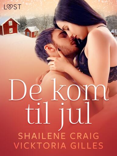 De kom til jul – erotisk novelle