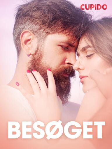 Portada del libro «Besøget – erotiske noveller», de Cupido