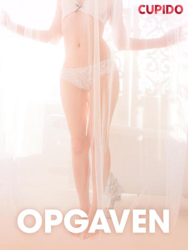 Opgaven – erotiske noveller