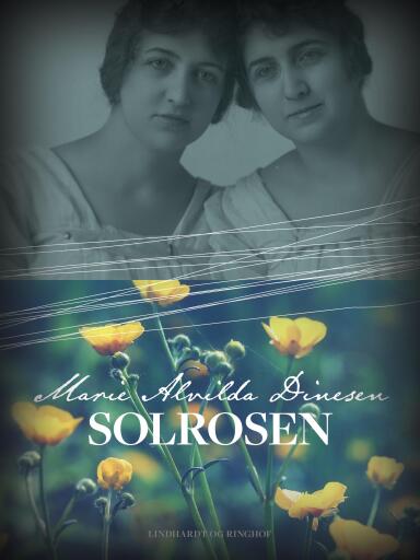 Solrosen