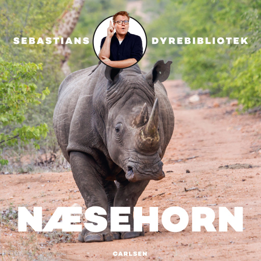Sebastians dyrebibliotek – Næsehorn