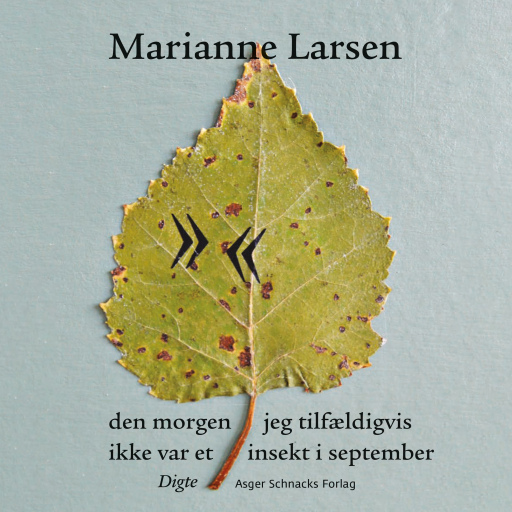den morgen jeg tilfældigvis ikke var et insekt i september