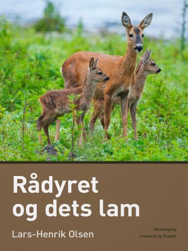 Rådyret og dets lam