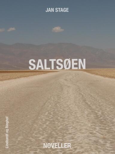 Saltsøen