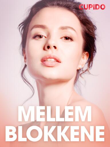 Mellem blokkene – erotiske noveller