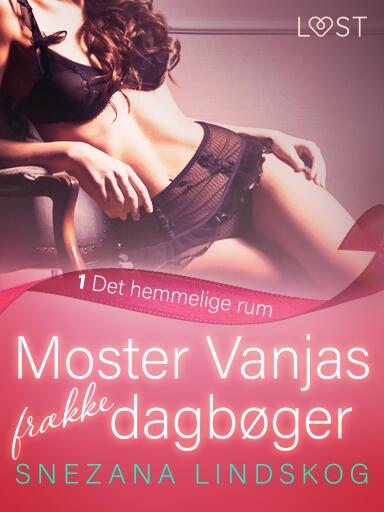 Moster Vanjas frække dagbøger 1: Det hemmelige rum – erotisk novelle