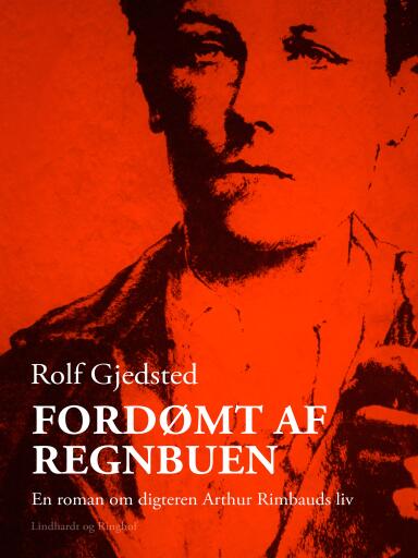 Fordømt af regnbuen. En roman om digteren Arthur Rimbauds liv